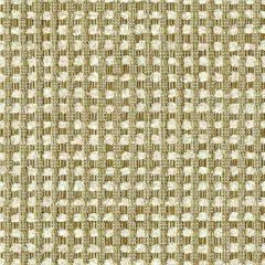 Kravet Design Gold 31028-416 Indoor Upholstery Fabric