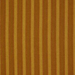 Robert Allen Pretty Stripe Cashew 180025 Indoor Upholstery Fabric