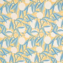 F Schumacher Rubus Cotton Linen Yellow 180072 Moon River Collection Indoor Upholstery Fabric