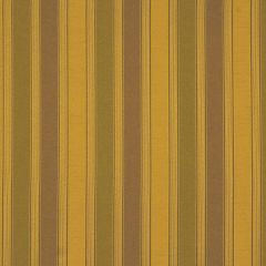 Robert Allen Fleming Road Caramel Essentials Window Collection Indoor Upholstery Fabric