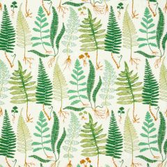 F Schumacher Halcott  Green 180210 Full Bloom Collection Upholstery Fabric