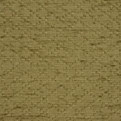 Robert Allen Nandini Jade 180373 Indoor Upholstery Fabric