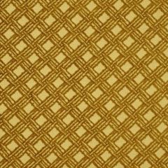 Robert Allen Vuitton Cashew 180411 Indoor Upholstery Fabric