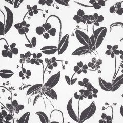 F Schumacher Orchids Have Dreams Soft Black 180510 by Hera Ford Indoor Upholstery Fabric