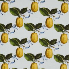 F Schumacher Le Citron Sky 180631 by Johnson Hartig Indoor Upholstery Fabric