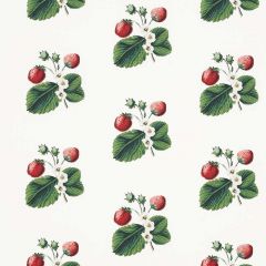 F Schumacher Strawberry Hill White 180640 by Johnson Hartig Indoor Upholstery Fabric