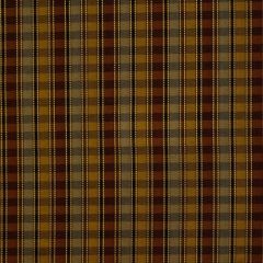 Robert Allen Poblado Cashew 180654 Indoor Upholstery Fabric