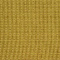 Robert Allen Tarmak Cashew Color Library Multipurpose Collection Indoor Upholstery Fabric