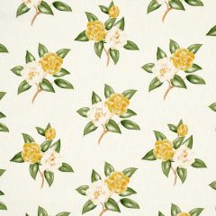 F Schumacher Casablanca Floral  Pale Yellow 180912 Swing Time Indoor/Outdoor Collection Upholstery Fabric