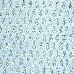 F Schumacher Pina Cove  Aquamarine 181020 Isola Indoor/Outdoor Collection Upholstery Fabric