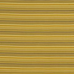 Robert Allen Vidor Bluebell 181024 Multipurpose Fabric