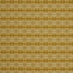 Robert Allen Contredanse Honey Color Library Multipurpose Collection Indoor Upholstery Fabric