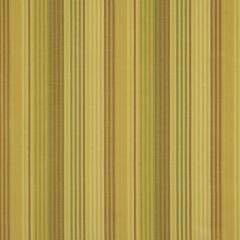Robert Allen Dory Stripe Butter 181282 Multipurpose Fabric