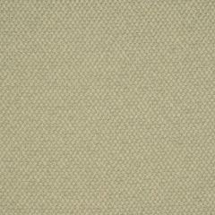 Robert Allen Strathspey Capri 181284 Multipurpose Fabric
