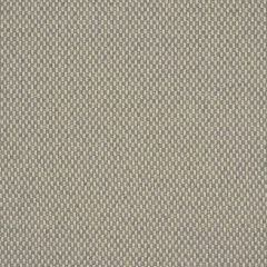 Robert Allen Strathspey Sterling Color Library Multipurpose Collection Indoor Upholstery Fabric