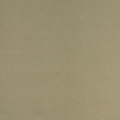 Robert Allen Contract Belle Ami Bronze 181556 Shade Store Collection Drapery Fabric