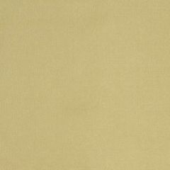 Robert Allen Contract Belle Ami Champagne 181566 Shade Store Collection Drapery Fabric