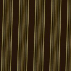 Robert Allen Villa Stripe Spa 181734 Indoor Upholstery Fabric