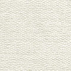 Kravet Tess Cream 34142-1 by Candice Olson Multipurpose Fabric
