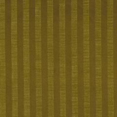 Robert Allen Contract Dogga Stripe Thicket 182142 Indoor Upholstery Fabric