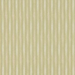 Robert Allen Outline Citron 185054 Indoor Upholstery Fabric