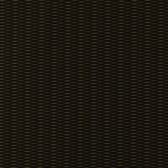 Robert Allen Outline Noir 185056 Indoor Upholstery Fabric