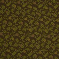 Robert Allen Flowering Vine Terrain 185104 Indoor Upholstery Fabric