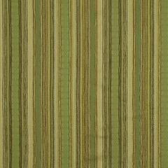 Robert Allen Sierra Stripe Leaf 185182 Indoor Upholstery Fabric
