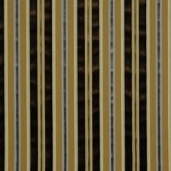 Robert Allen Rainier Stripe Terrain 185264 Indoor Upholstery Fabric