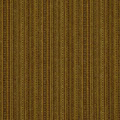 Robert Allen Run Along Driftwood Home Upholstery Collection Indoor Upholstery Fabric