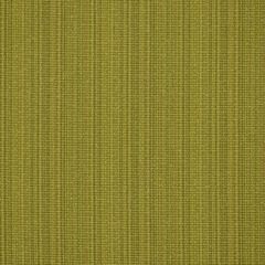 Robert Allen Run Along Kiwi 185363 Indoor Upholstery Fabric