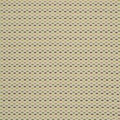Robert Allen Lawrenceburg Tulip 185368 Indoor Upholstery Fabric