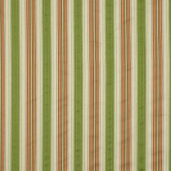 Robert Allen Summer Stitch Tulip Color Library Collection Indoor Upholstery Fabric