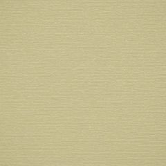 Robert Allen Echo Wave Vanilla 185459 Indoor Upholstery Fabric
