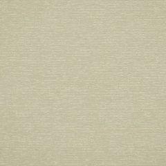 Robert Allen Echo Wave Frost 185462 Indoor Upholstery Fabric