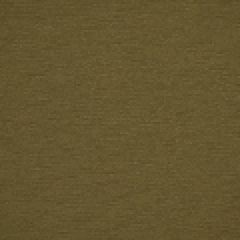Robert Allen Echo Wave Mink 185463 Indoor Upholstery Fabric