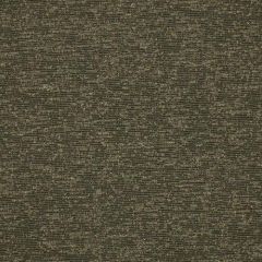 Robert Allen Echo Wave Anthracite 185466 Indoor Upholstery Fabric