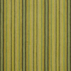 Robert Allen Glowing Stripe Leaf 185633 Indoor Upholstery Fabric