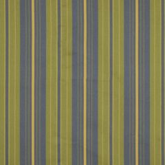 Robert Allen Many Stripes Leaf 185648 Indoor Upholstery Fabric