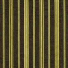 Robert Allen Sevigny Leaf 185661 Indoor Upholstery Fabric