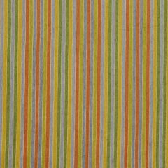 Robert Allen Glowing Stripe Hydrangea 185662 Indoor Upholstery Fabric
