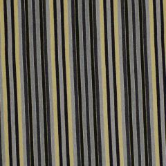 Robert Allen Glowing Stripe Rain 185663 Indoor Upholstery Fabric