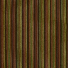 Robert Allen Rainbow Stripe Tulip 185671 Indoor Upholstery Fabric