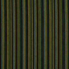 Robert Allen Rainbow Stripe Terrain Color Library Collection Indoor Upholstery Fabric