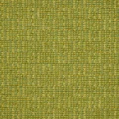 Robert Allen Pebbled Path Leaf Color Library Collection Indoor Upholstery Fabric