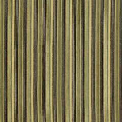 Robert Allen Rykiel Terrain 185677 Indoor Upholstery Fabric