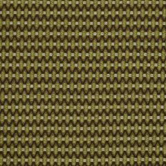 Robert Allen Eye Catching Terrain 185695 Indoor Upholstery Fabric