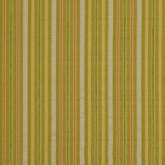Robert Allen Lucky Stripes Leaf 185730 Indoor Upholstery Fabric