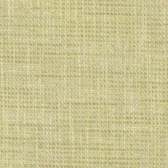 Duralee Wasabi 36295-609 Decor Fabric