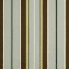 Robert Allen Cedar Point Terrain 185777 Indoor Upholstery Fabric